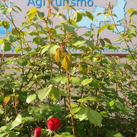 Фермерский дом Orione Марина-ди-Кампо