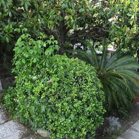 Orione Κατάλυμα σε φάρμα Marina di Campo