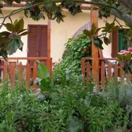 Orione * Marina di Campo