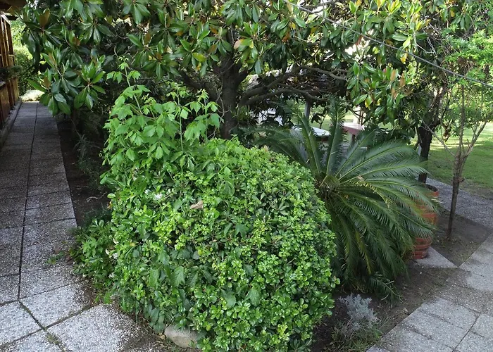 Orione Lantgård Marina di Campo